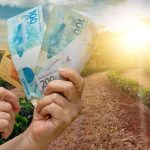 Umas regiões já estão colhendo enquanto outras correm contra o tempo para terminar o plantio dentro do prazo