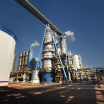 Aditivos nutricionais impulsionam crescimento da produção de camarão no Brasil