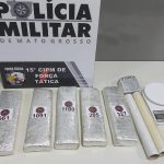 Mercado de trigo brasileiro desacelera no fim de ano enquanto oferta global pressiona preços