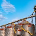 Estado define regras para autorizações excepcionais de plantio de soja