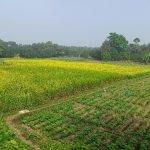 Polícia Civil cumpre ordens judiciais em Porto Esperidião e Glória D’Oeste relacionadas a crime de homicídio
