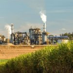 Polícia Militar apreende 58 kg de drogas e prende foragido em Primavera do Leste