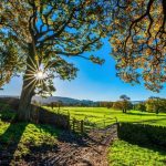 Projeto Força Vôlei se consolida como um dos principais destaques primaverenses no esporte em 2025