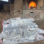 Instituto de Pesca reforça compromisso com inovação e sustentabilidade no setor aquícola em 2026