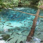 Homem é preso após ameaçar ex-esposa e tentar subornar policiais