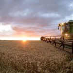 Avanço da mancha-alvo ameaça lavouras de soja e pode reduzir produtividade em até 20%, alerta especialista