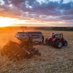 Mato Grosso encerra 2025 com 31,6 milhões de bovinos e mantém liderança nacional, aponta Indea