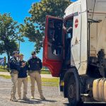 USDA revisa projeções para grãos e aponta alta na produção global de soja, milho e trigo em 2026