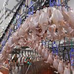 Vinícola Góes prevê safra de excelência para a Vindima 2026 e lança programação especial para celebrar a colheita em São Roque