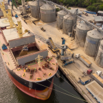 Maninho integra missão no Summit Brasil–Índia–Indonésia e reforça protagonismo de Mato Grosso em Campinas