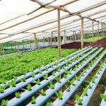 Força Tática prende mãe e filha por mandado judicial e rompimento de tornozeleira no São Sebastião II, em Rondonópolis