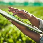 Europa ganha peso também nas vendas de etanol e abre espaço para agro