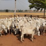 CNA orienta produtores rurais sobre novas regras de emissão de notas fiscais e tributação a partir de 2026