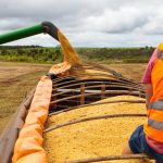 Jovem de 19 anos morre após capotamento na MT-130