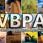 Guia de Irrigação: 5 Pontos Essenciais Antes de Implementar o Gotejamento na Lavoura