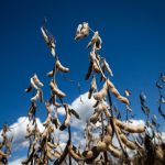 Câmara de Rondonópolis fecha o ano com aprovação popular, ações nos bairros e selo histórico de transparência