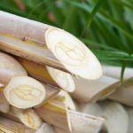 PRF apreende metanfetamina transportada em ônibus na BR-364