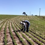 Polícia Militar apreende equipamentos e fecha garimpo irregular em zona rural de Nossa Senhora do Livramento
