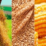 Economia brasileira inicia 2026 sob pressão fiscal e geopolítica, aponta relatório do Rabobank