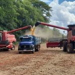 Agronegócio 2025: Brasil atinge recorde histórico no registro de bioinsumos e moderniza setor de defensivos