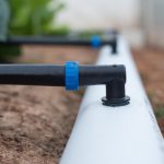 Infraestrutura intensifica limpeza e manutenção nas margens da BR-070 em Primavera do Leste