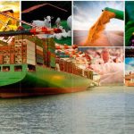 Mercado de laranja inicia 2026 com vendas lentas e preocupação climática