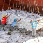 Boas práticas de armazenamento fortalecem a produtividade e segurança na pecuária