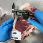 Baixo interesse pelo trigo mantém Brasil dependente das importações em 2026