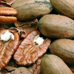 Portos do Paraná superam 70 milhões de toneladas e registram recorde histórico em 2025