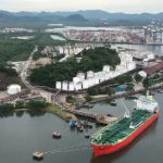 Remates oficiais de Hereford e Braford crescem 10% e movimentam mais de R$ 47 milhões em 2025