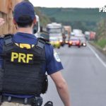 Algodão encerra 2025 com preços em queda, mas exportações mantêm Brasil entre líderes globais