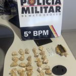 Mato Grosso registra 3.860 acidentes com animais peçonhentos; SES alerta população