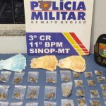 Mato Grosso registra recorde histórico no abate de bovinos em 2025