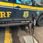 Polícia Civil prende autor de homicídio menos de 24 horas após o crime