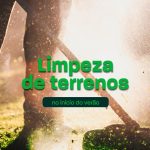 Homem é morto com tiro na cabeça enquanto descansava em rede na zona rural