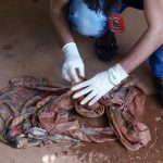 Corpo de Bombeiros combate incêndio em carreta que transportava correntes na rodovia BR-364