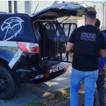 Programa Ser Família Capacita abre inscrições para curso de Pintor de Obras Imobiliárias em Primavera do Leste