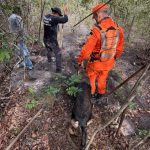 Sefaz define regras e limite para incentivo fiscal à soja a granel em 2026