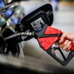 Rota Turística do Morango impulsiona renda rural e integra agricultura e turismo no Paraná