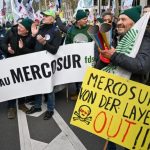 Exportações de carne bovina batem recorde em 2025, apesar de tarifaço