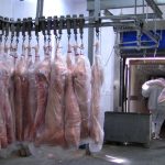 Ações contínuas da saúde reforçam a vigilância e a orientação à população sobre a prevenção de doenças