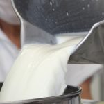 Exportações de ovos renderam R$ 525 milhões em 2025, aponta ABPA