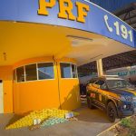 PRF recupera veículo roubado e prende homem com mandado de prisão na BR-364, em Cuiabá (MT)
