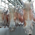 Motorista embriagado é preso pela Polícia Militar após acidente que matou casal na MT-100