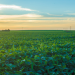 Capacitação reúne professores e estagiários do esporte em Rondonópolis