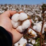 Defesa Civil emite aviso de perigo para chuvas intensas em Mato Grosso, incluindo Rondonópolis