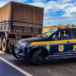 PRF apreende mais de 115 m³ de madeira transportada sem documentação na BR-163, em Guarantã do Norte (MT)