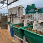 Emater-MG lança mestrado profissional para qualificação de técnicos em queijos artesanais