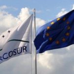 Mercado de trigo inicia 2026 com baixa liquidez, moinhos cautelosos e apoio nas exportações