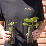 Emater-MG lança mestrado profissional para qualificação de técnicos em queijos artesanais